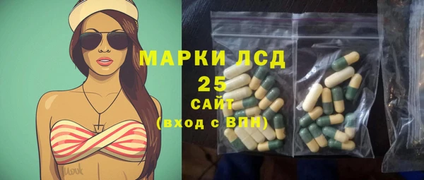прущие крисы Кулебаки