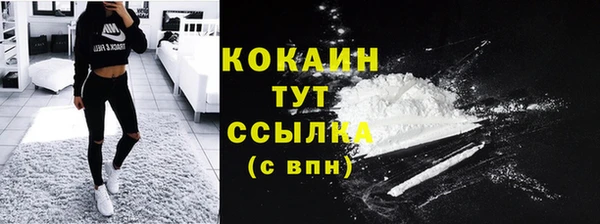 прущие крисы Кулебаки