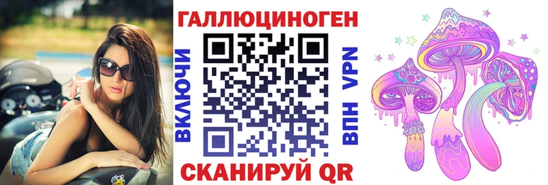 Купить где  Кольчугино  Галлюциногенные грибы Psilocybe 